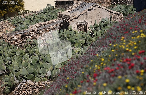 Image of EUROPE CANARY ISLANDS FUERTEVENTURA