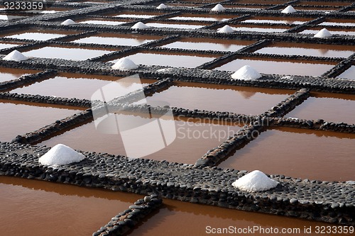 Image of EUROPE CANARY ISLANDS FUERTEVENTURA