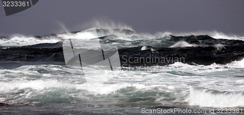 Image of EUROPE CANARY ISLANDS FUERTEVENTURA