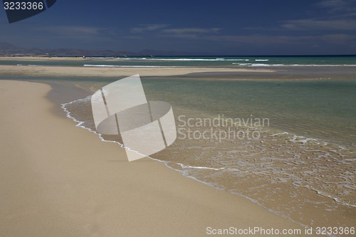 Image of EUROPE CANARY ISLANDS FUERTEVENTURA