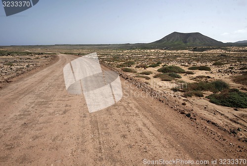 Image of EUROPE CANARY ISLANDS FUERTEVENTURA