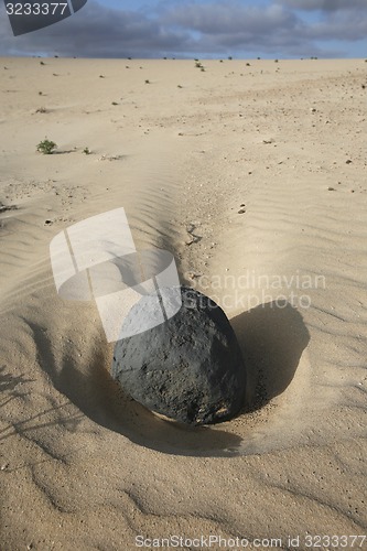 Image of EUROPE CANARY ISLANDS FUERTEVENTURA