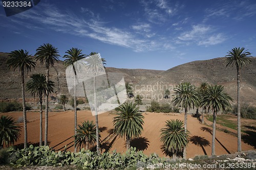 Image of EUROPE CANARY ISLANDS FUERTEVENTURA