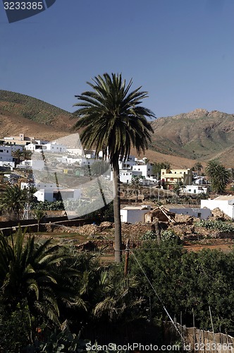 Image of EUROPE CANARY ISLANDS FUERTEVENTURA