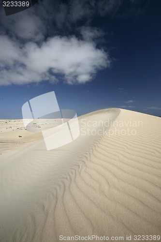 Image of EUROPE CANARY ISLANDS FUERTEVENTURA