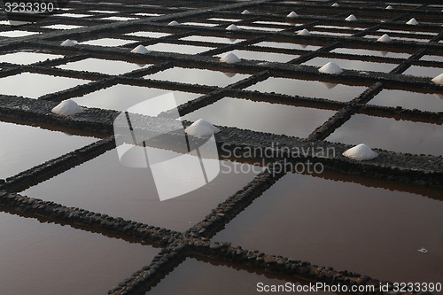 Image of EUROPE CANARY ISLANDS FUERTEVENTURA