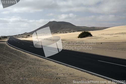 Image of EUROPE CANARY ISLANDS FUERTEVENTURA