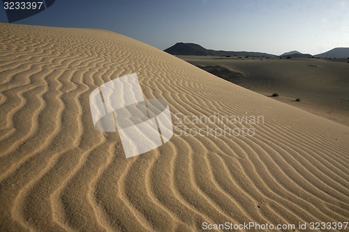 Image of EUROPE CANARY ISLANDS FUERTEVENTURA