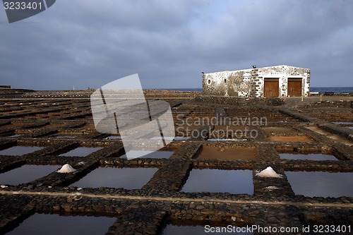 Image of EUROPE CANARY ISLANDS FUERTEVENTURA