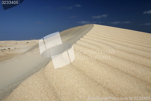 Image of EUROPE CANARY ISLANDS FUERTEVENTURA