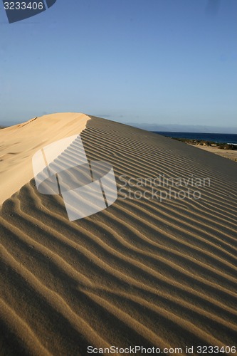 Image of EUROPE CANARY ISLANDS FUERTEVENTURA