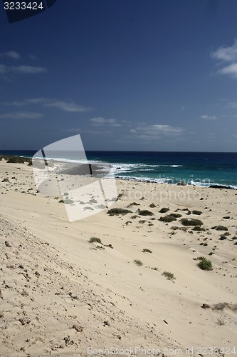 Image of EUROPE CANARY ISLANDS FUERTEVENTURA