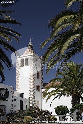 Image of EUROPE CANARY ISLANDS FUERTEVENTURA