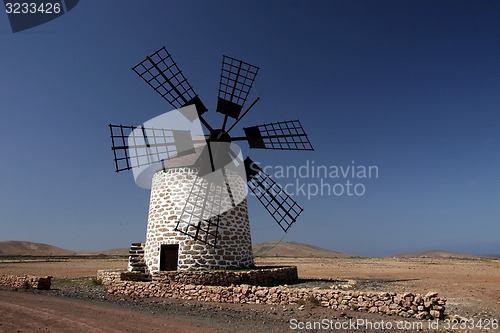 Image of EUROPE CANARY ISLANDS FUERTEVENTURA