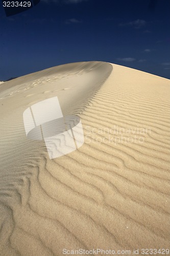 Image of EUROPE CANARY ISLANDS FUERTEVENTURA