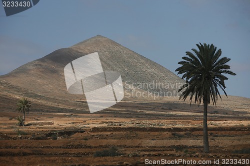 Image of EUROPE CANARY ISLANDS FUERTEVENTURA