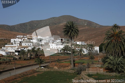 Image of EUROPE CANARY ISLANDS FUERTEVENTURA