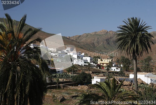 Image of EUROPE CANARY ISLANDS FUERTEVENTURA