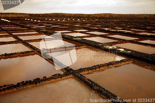 Image of EUROPE CANARY ISLANDS FUERTEVENTURA