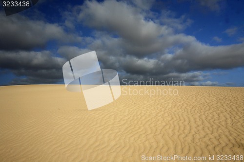 Image of EUROPE CANARY ISLANDS FUERTEVENTURA