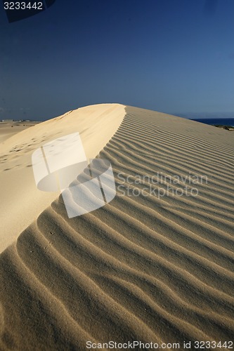 Image of EUROPE CANARY ISLANDS FUERTEVENTURA