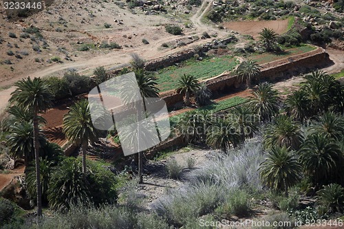 Image of EUROPE CANARY ISLANDS FUERTEVENTURA