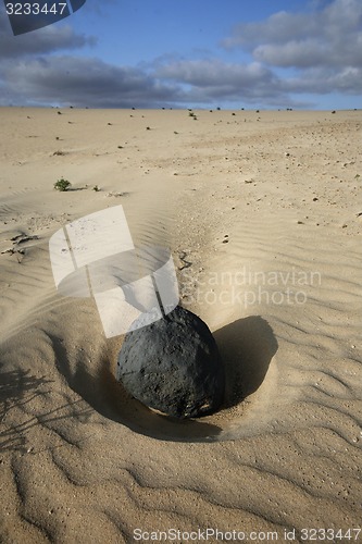Image of EUROPE CANARY ISLANDS FUERTEVENTURA