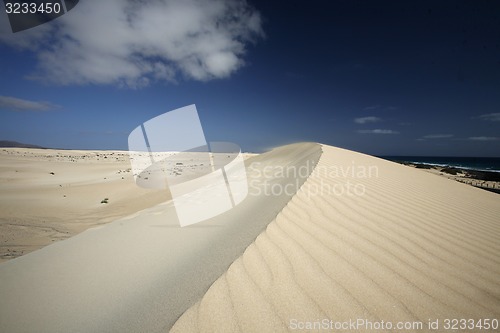 Image of EUROPE CANARY ISLANDS FUERTEVENTURA