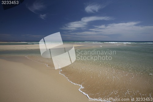 Image of EUROPE CANARY ISLANDS FUERTEVENTURA