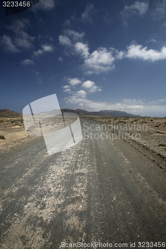 Image of EUROPE CANARY ISLANDS FUERTEVENTURA