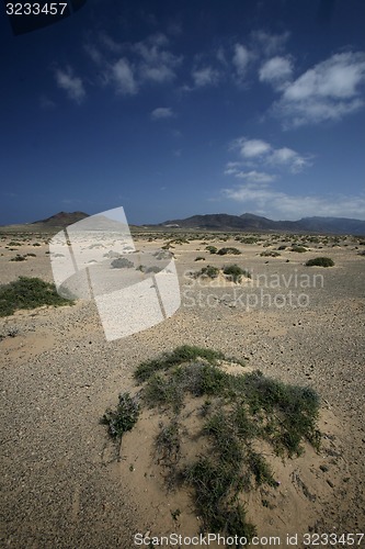 Image of EUROPE CANARY ISLANDS FUERTEVENTURA