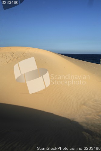 Image of EUROPE CANARY ISLANDS FUERTEVENTURA