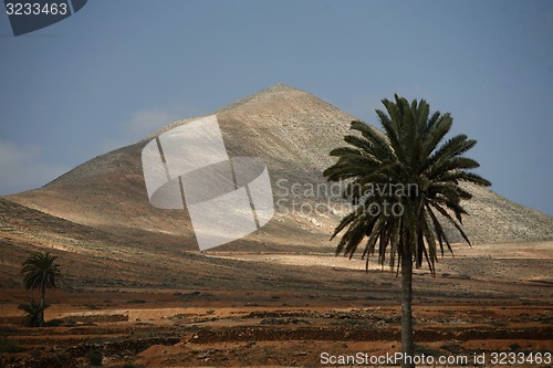 Image of EUROPE CANARY ISLANDS FUERTEVENTURA