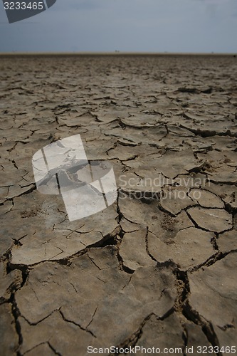 Image of EUROPE CANARY ISLANDS FUERTEVENTURA