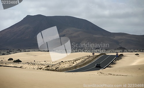 Image of EUROPE CANARY ISLANDS FUERTEVENTURA