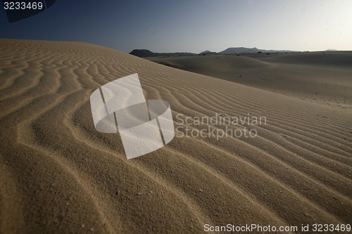 Image of EUROPE CANARY ISLANDS FUERTEVENTURA