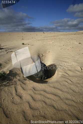 Image of EUROPE CANARY ISLANDS FUERTEVENTURA