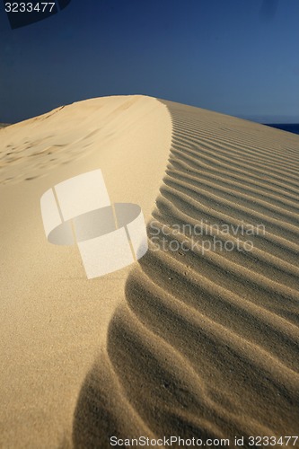 Image of EUROPE CANARY ISLANDS FUERTEVENTURA