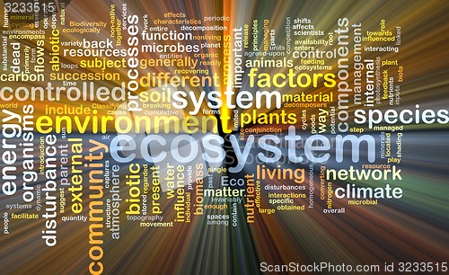 Image of ecosystem wordcloud concept illustration glowing