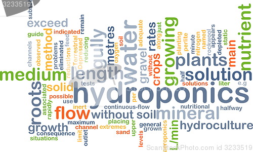 Image of hydroponics wordcloud concept illustration