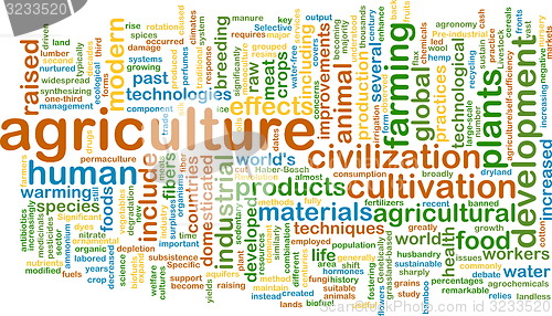 Image of agriculture wordcloud concept illustration