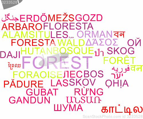 Image of Forest multilanguage wordcloud background concept