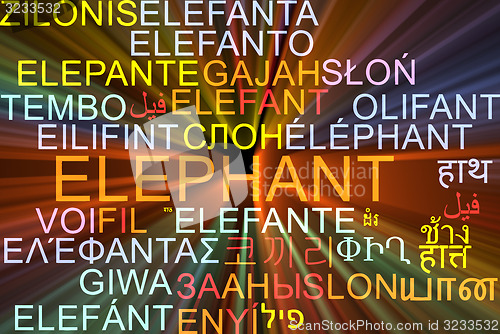 Image of Elephant multilanguage wordcloud background concept glowing
