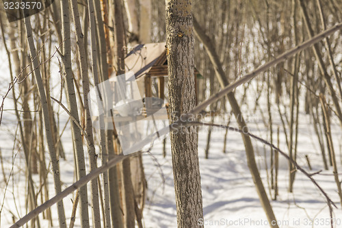 Image of Feeders for birds   