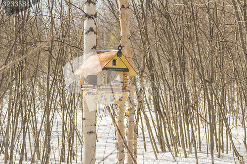 Image of Feeders for birds   