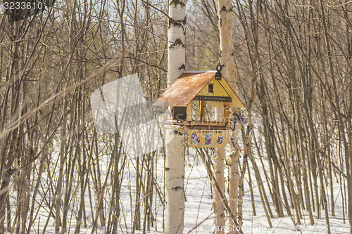 Image of Feeders for birds   