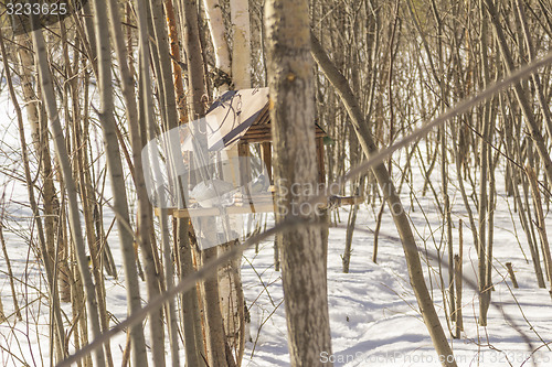 Image of Feeders for birds   