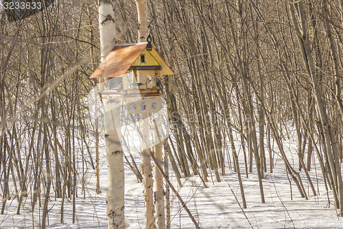 Image of Feeders for birds   