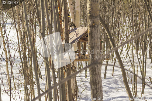 Image of Feeders for birds   