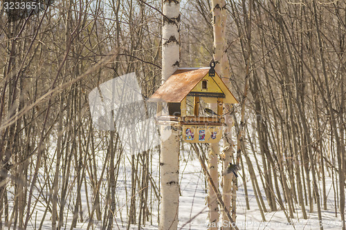 Image of Feeders for birds   